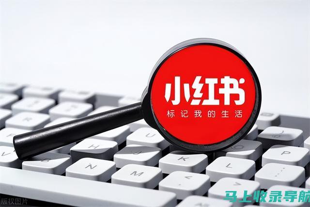 小红书关键词优化成本分析：怎样优化最经济？